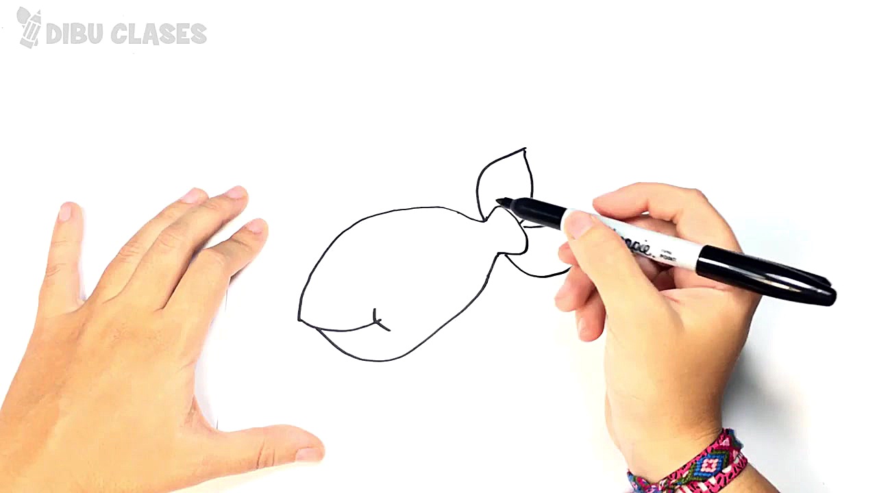 C&oacute;mo dibujar un Pescado...