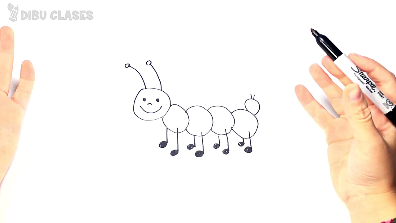 C&oacute;mo dibujar un Gusano...