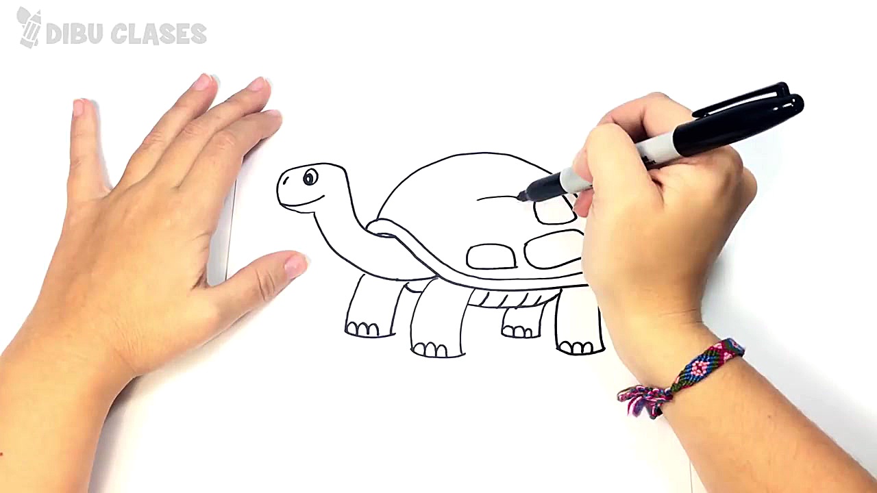 C&oacute;mo dibujar un Tortuga...