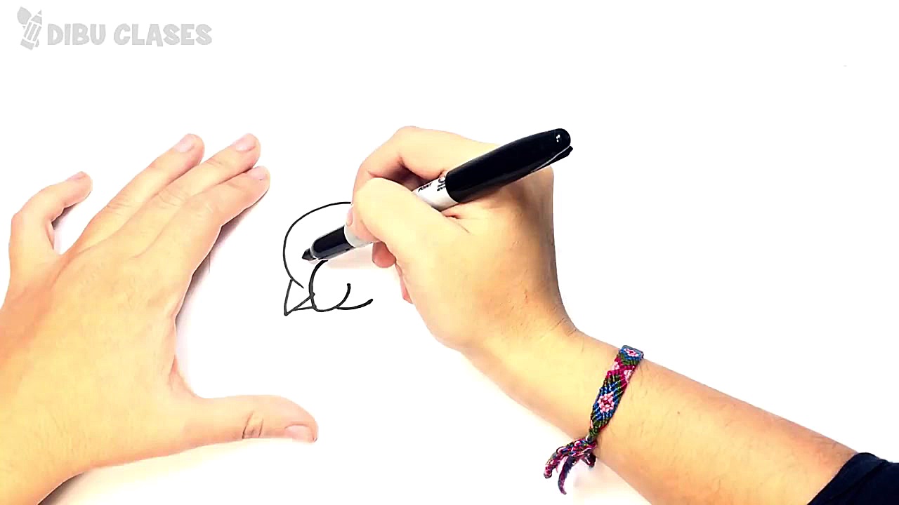 Como dibujar un Pollito Paso a...