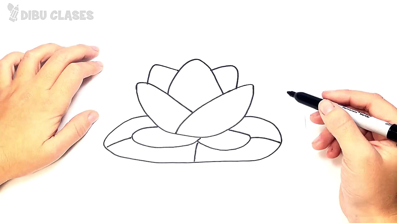 Como dibujar una Flor de Loto...