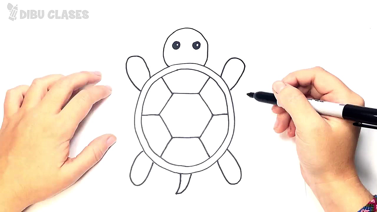 Como dibujar una Tortuga Muy F...