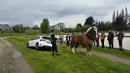 اسب بخار واقعی:)