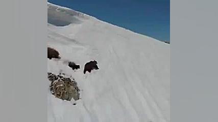 تلاش تلاش تلاش=موفقیت