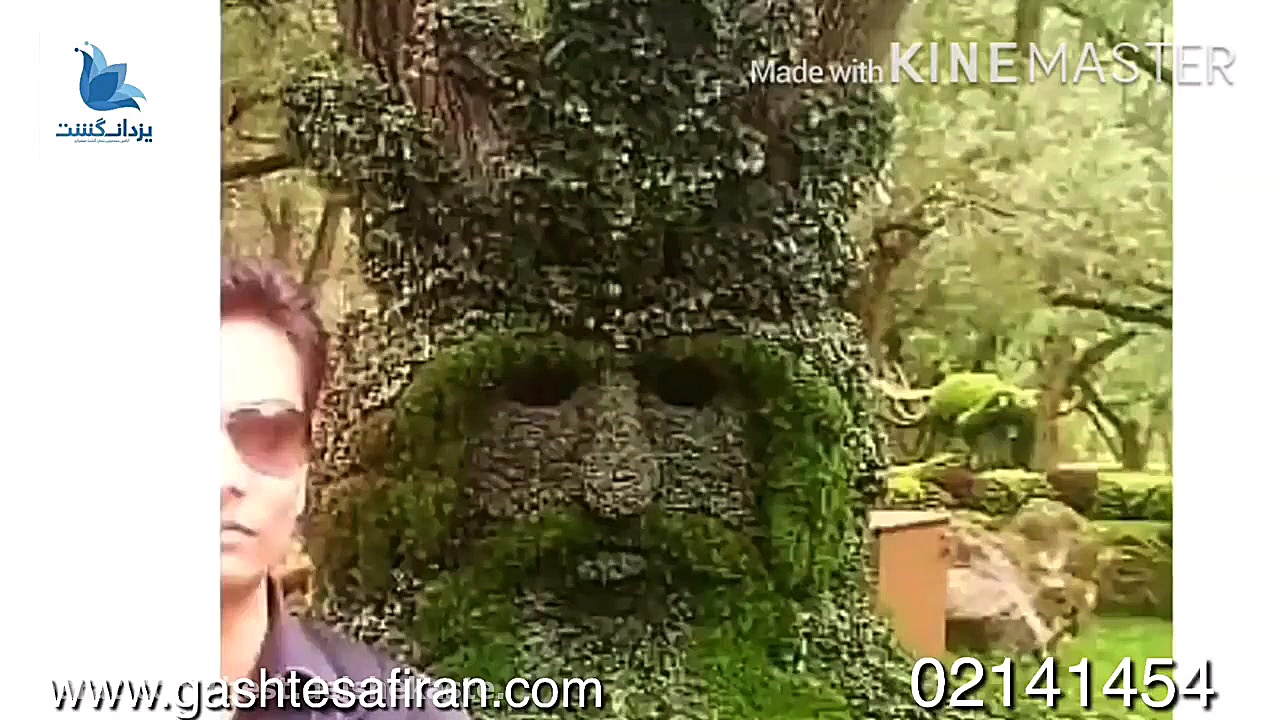 مجسمه های گیاهی