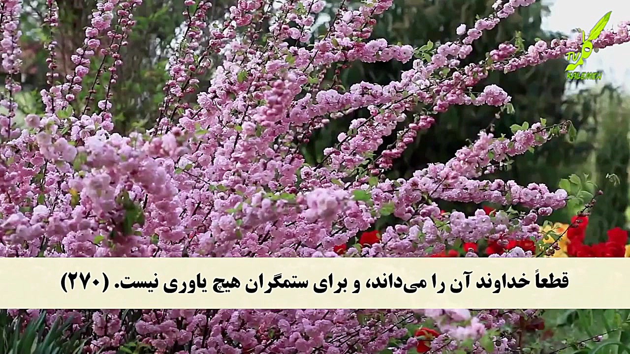 سوره بقره 270 274 همراه با ترج...