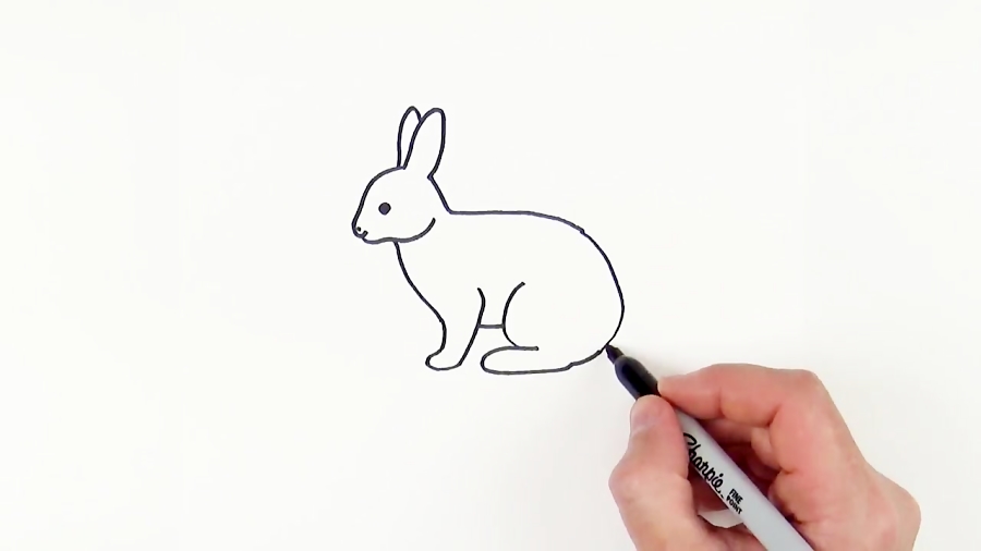 Small Rab Easy Draw How to Draw a Rabbit easy step by step | Hare Drawing for kids