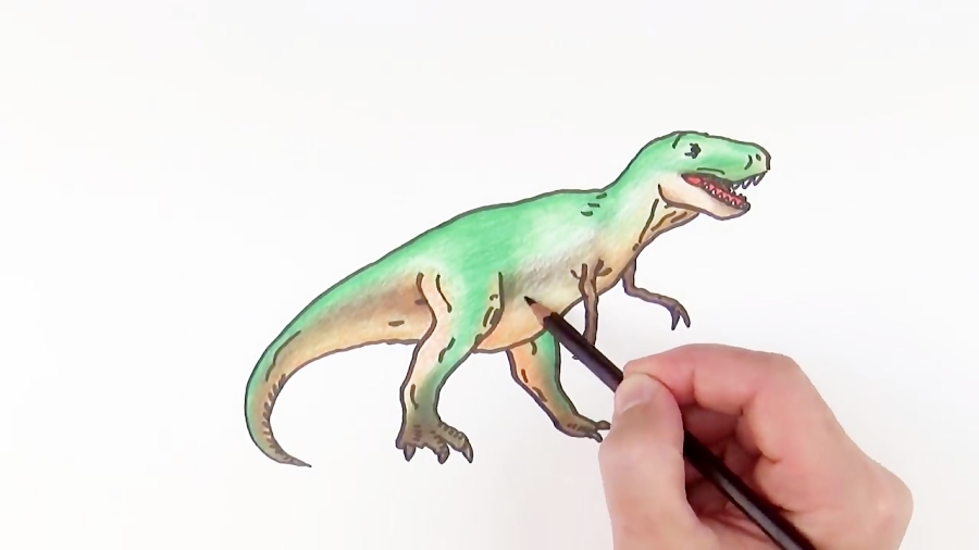 I tried drawing a simple T-rex. How are the proportions/any other problems?  : r/Paleoart