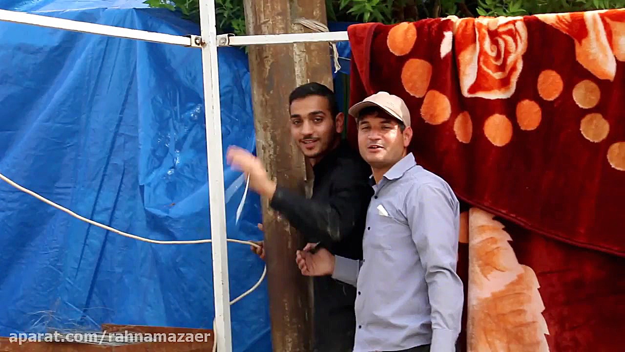 شوری به پا شد