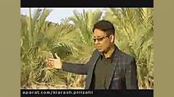 علی سپاهیان عالییی