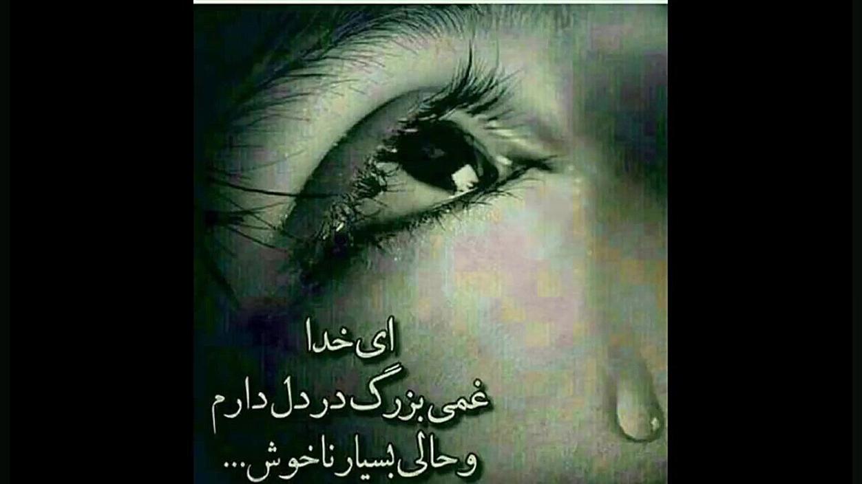 میلاد محمدی .عاشق