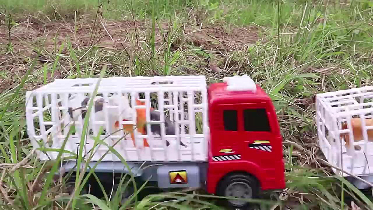 دنیای اسباب بازی: نجات حیوانات...