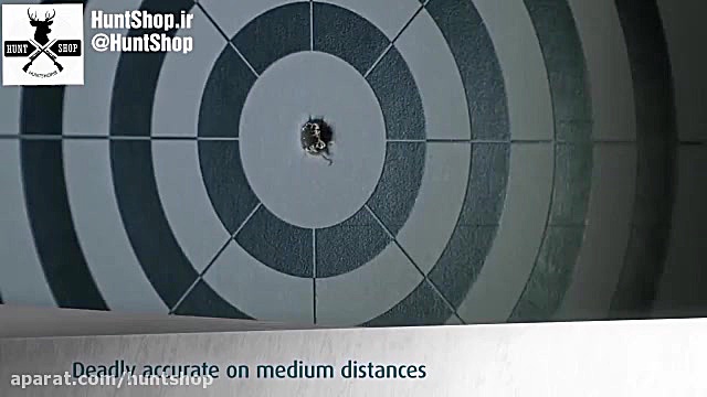 ساچمه تفنگ بادی HN هورنت