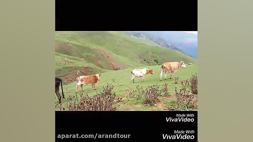 تور سوباتان ,تور نئور به سوبات...