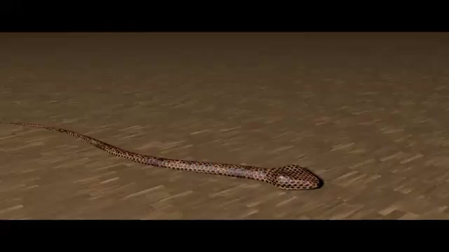 مار در سینما فور دی