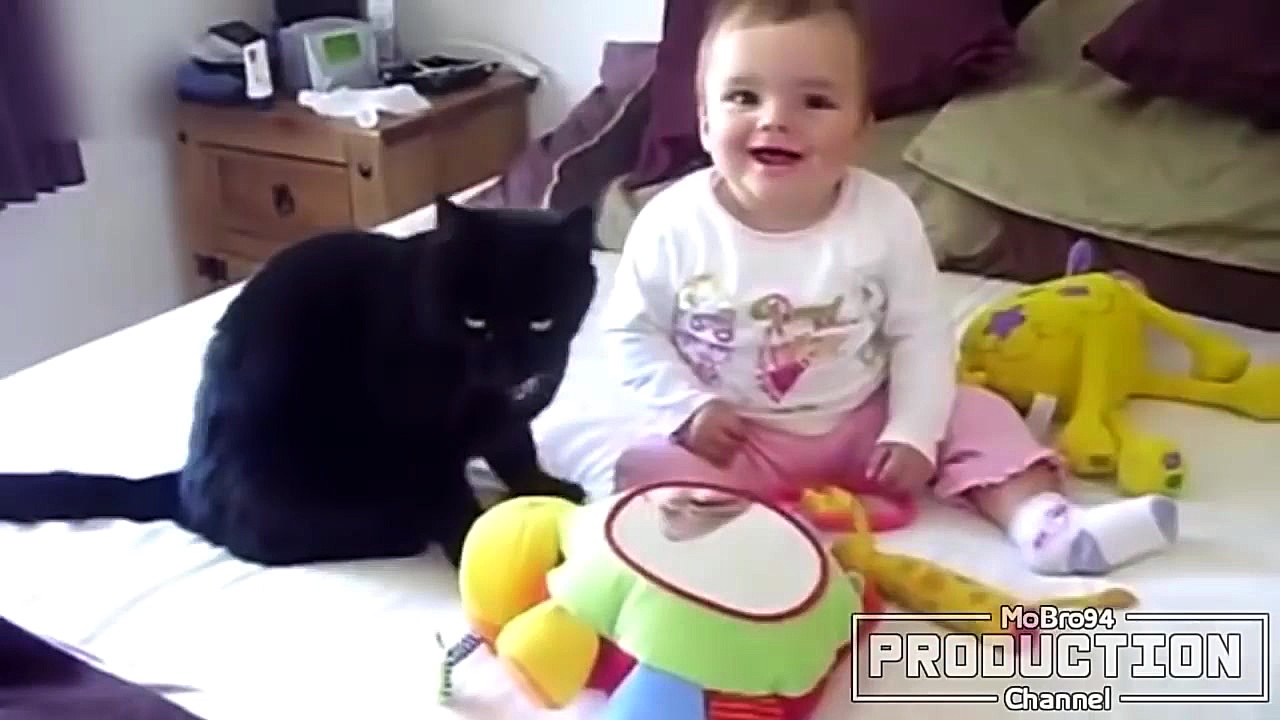 دوستی بامزه گربه با کودکان