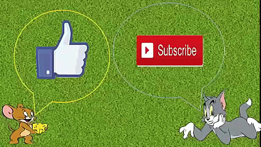 Tom and Jerry کارتن تام و جری...