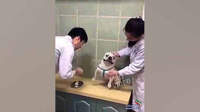 کدوم رفیقت اینجوری از امپول می...