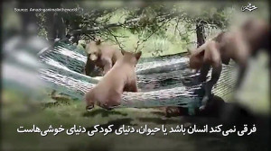 دنیای شیرین کودکی در حیوانات...