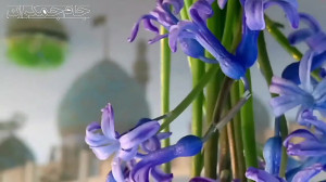 جزیره خضراء امام زمان کجاست؟
