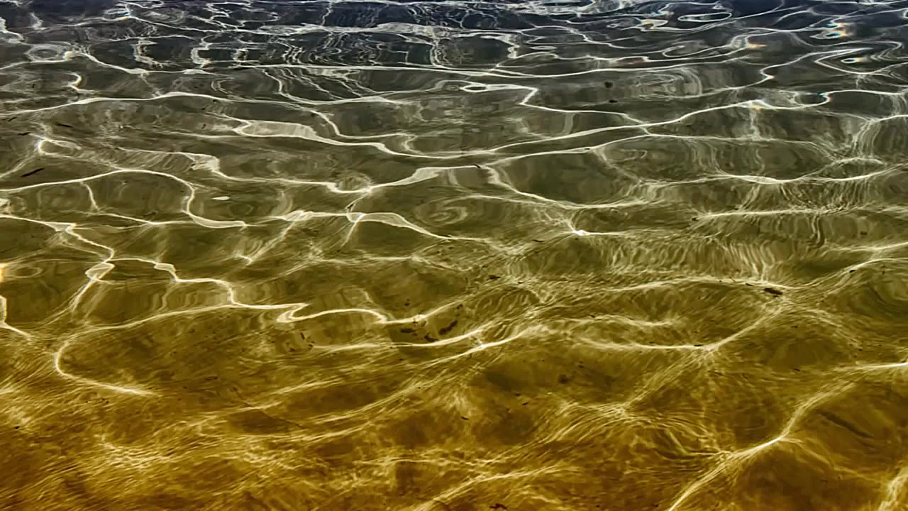 Intense Motivational Study Mus...