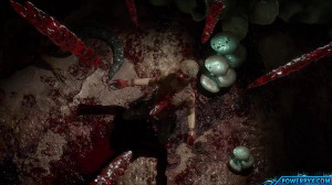 تمام فیتالیتی های مورتال کمبت...