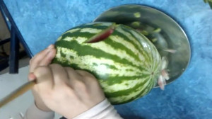 طرح طرح ولایت بر روی هندوانه