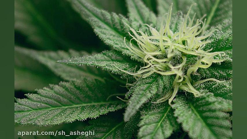 آموزش نصب ububntu در vmware