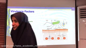 Microbiology Lecture 12