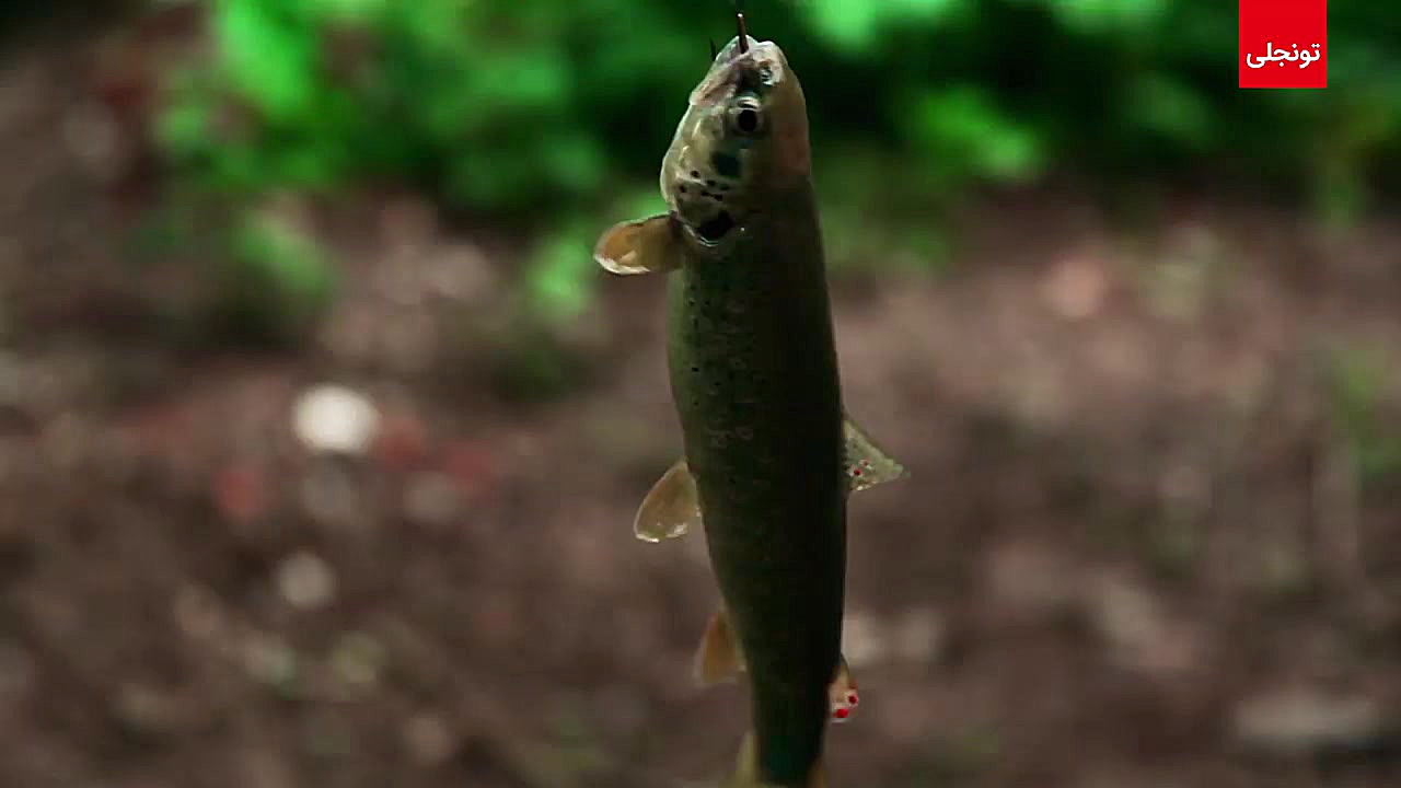 62 Tunceli tanıtım filmi  فیلم...