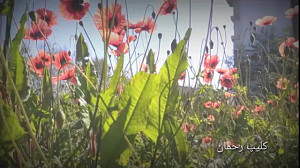 تقلید آهنگ معین  دیوونگی نکن (...