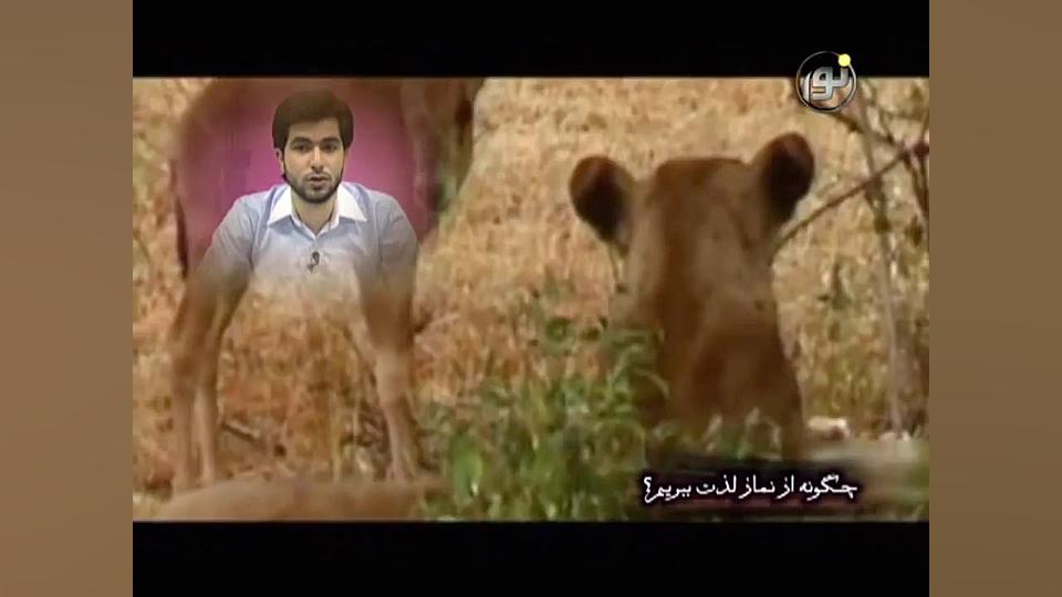 تصاویری عجیب، نشان دهنده رحمت...