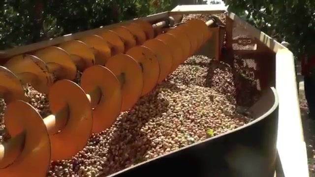 نبینی از دست رفته جزییات بشتر...