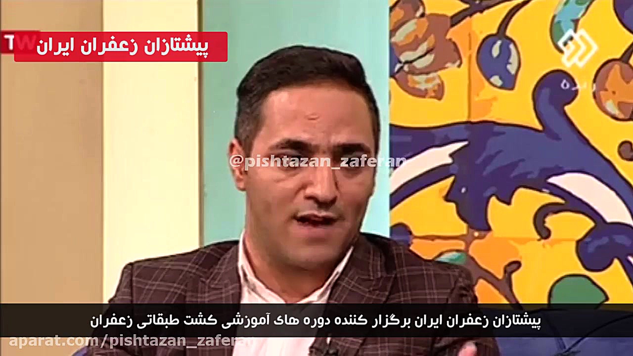 کشت گلخانه ای زعفران شبکه دو