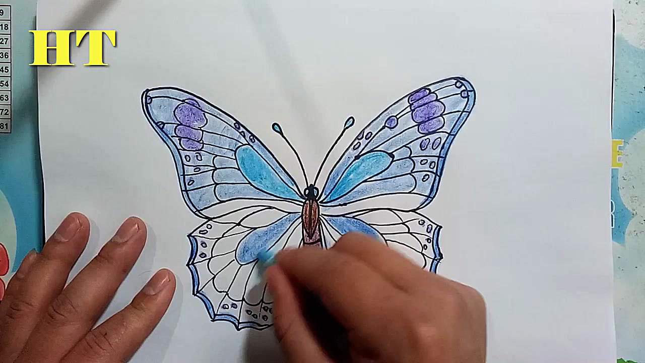 How to draw butterfly for Baby...