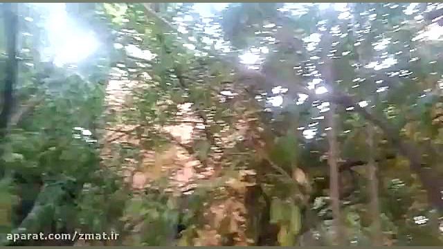 اقامتگاه بومگردی خانه مسافر را...