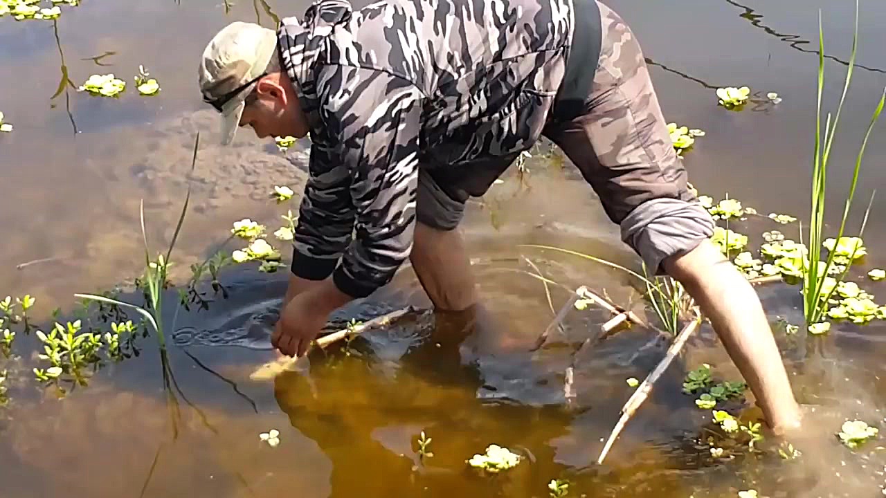 شکار ماهی تیلاپیا با تفنگ بادی...