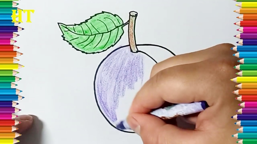 How to draw a plum step by step Plum drawing and coloring for kids