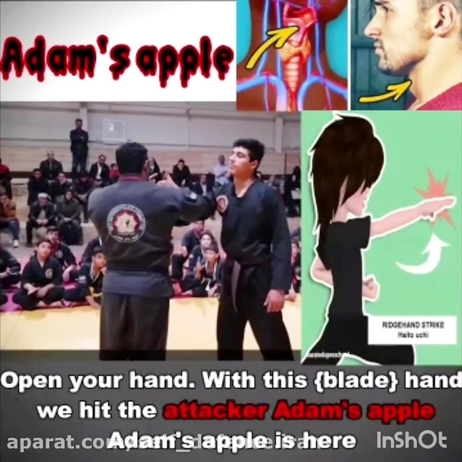 آموزش دفاع شخصی خیابانی بانوان