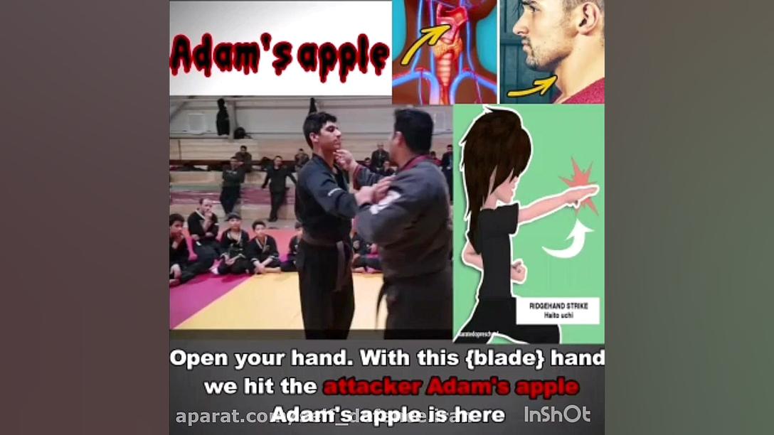 آموزش دفاع شخصی خیابانی بانوان