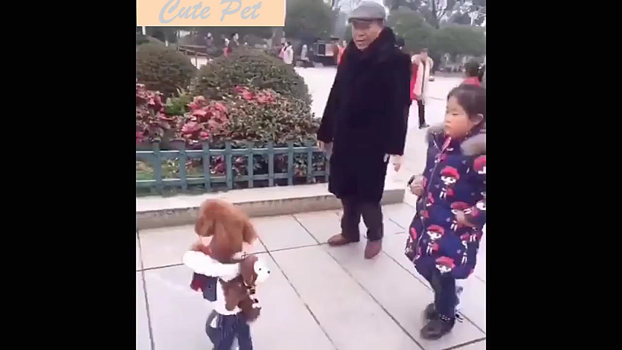 اینا سگ هستن یا بچه  عین بچه ه...