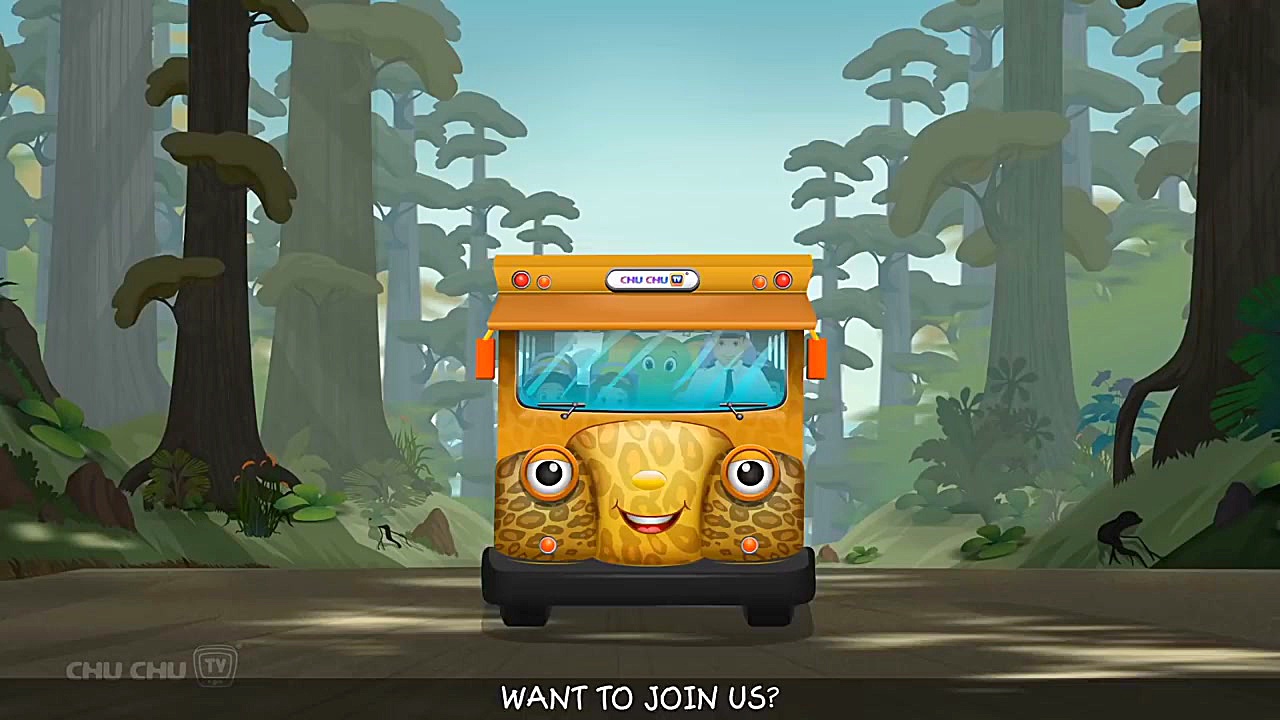 ChuChu TV Baby Shark and Many...