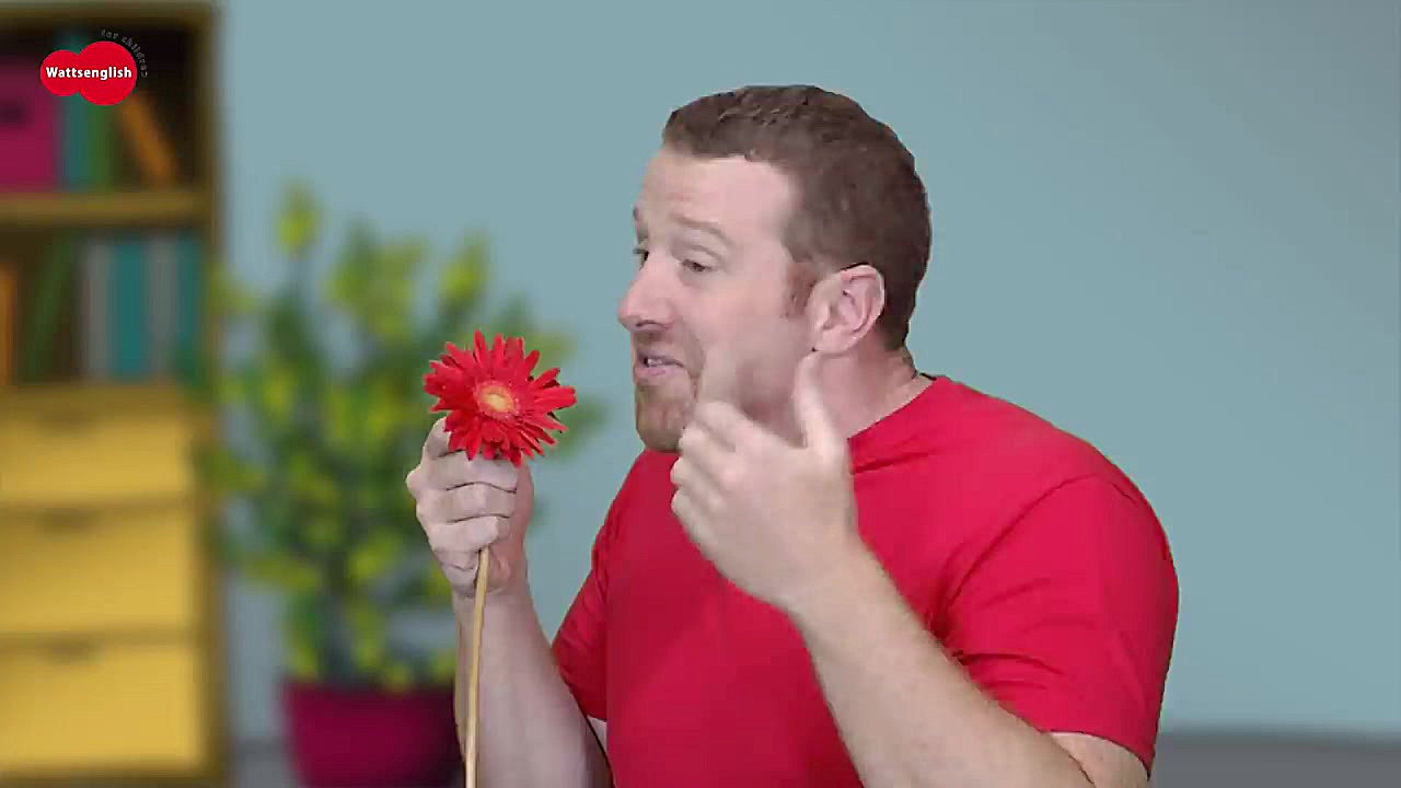 مجموعه زبان اسپانیایی با استیو...