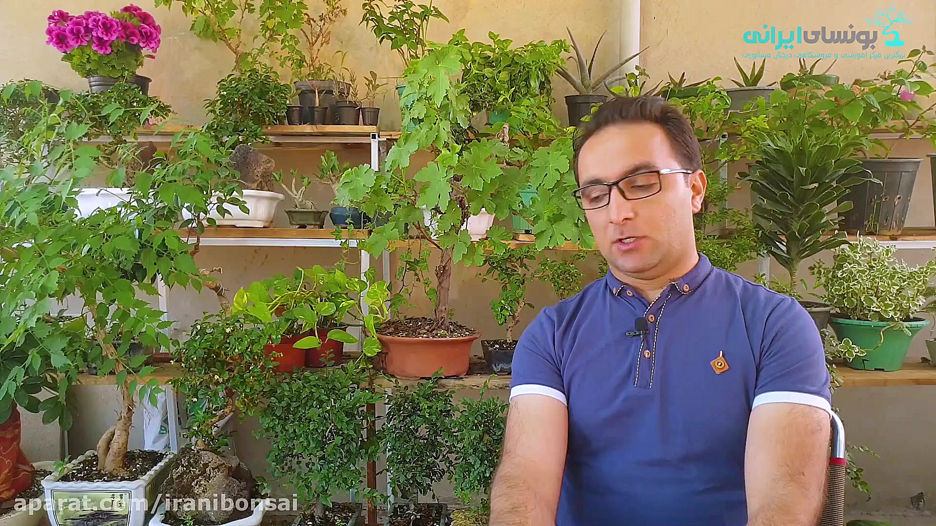 توضیحات دوره آموزشی تخصصی بونس...