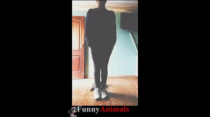 سگ گربه |Funny and Cute Cat an...