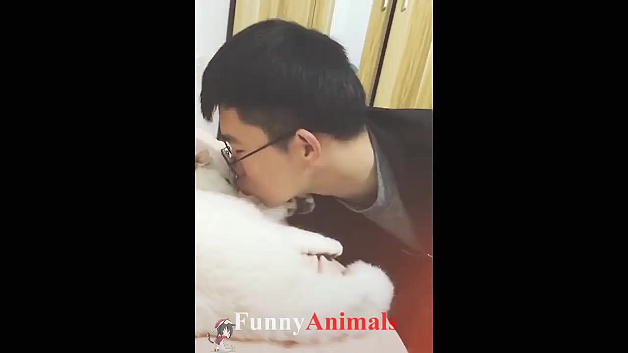 سگ گربه | Cute Cat and owners...