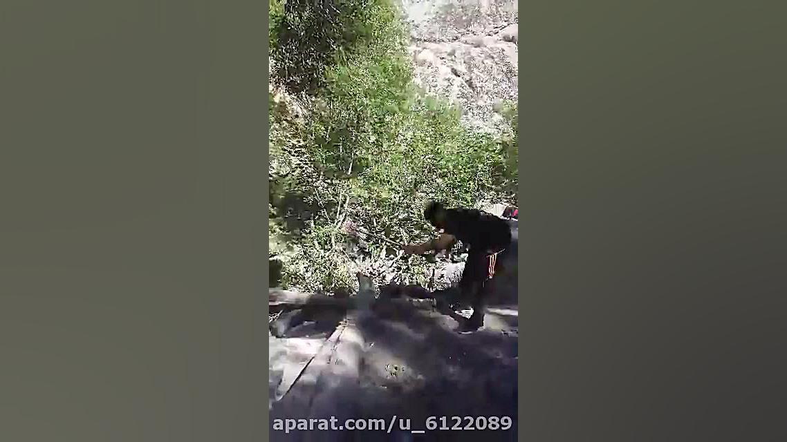 حمید رضا مقیمی mma