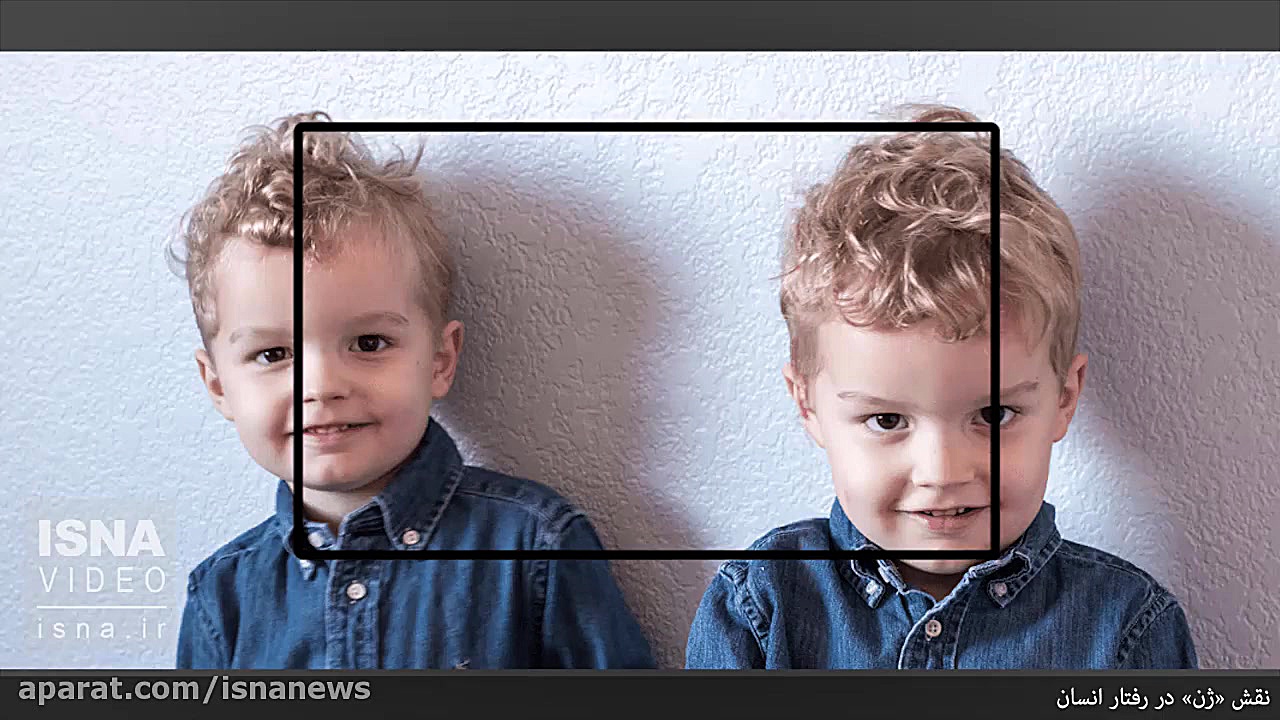 &laquo;ژن جرم&raquo; وجود دارد...