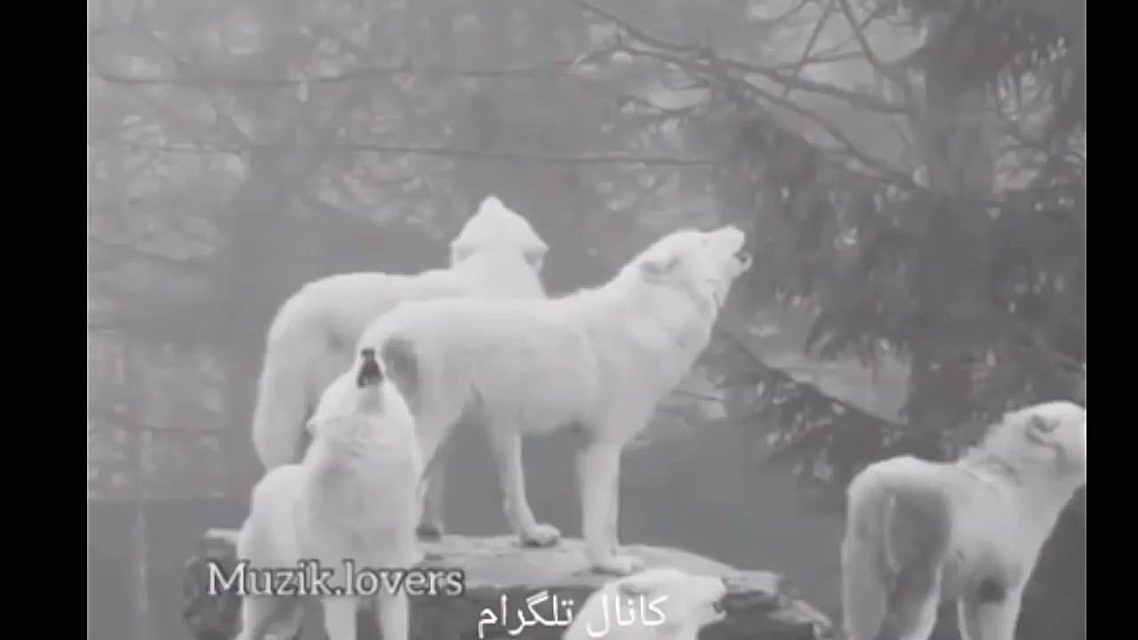 آهنگ رپ غمگین و زیبا