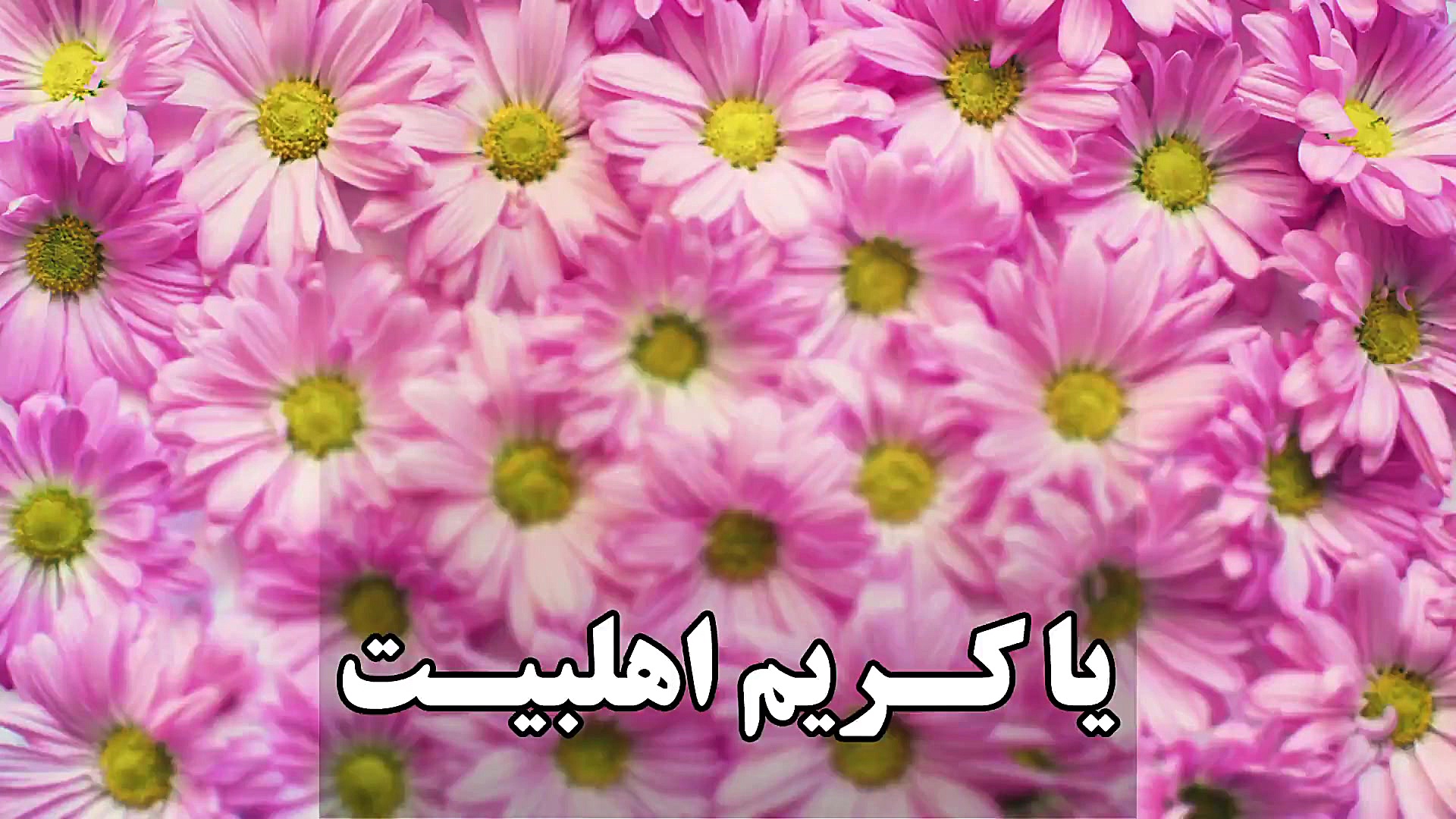 کلیپ ویژه ولادت امام حسن مجتبی...